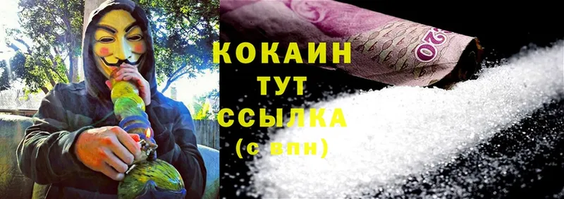 Cocaine Fish Scale  OMG как зайти  Волгореченск  закладка 